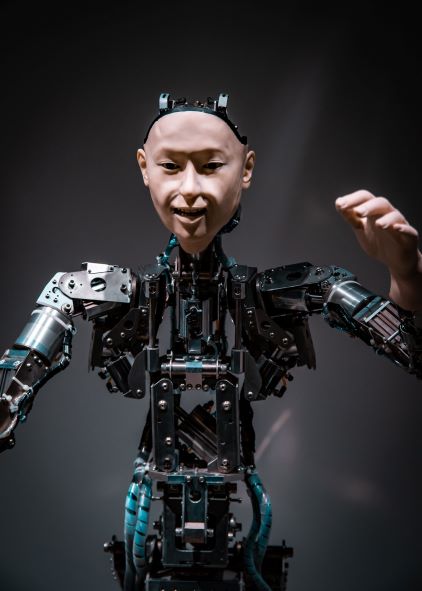 We, the Robots: Humanoid Robot