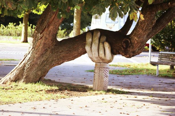 Immanent Creativity in Whitehead: Stone Hand Supporting a Tree